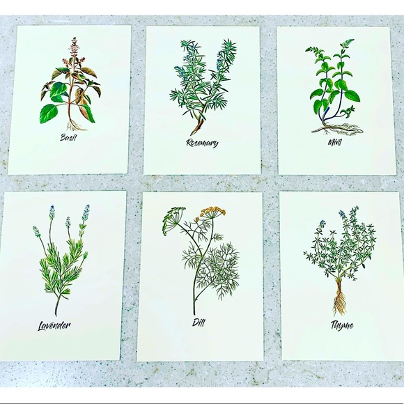 Six Spring Herb Prints (5.5”x7.5”) - Picture 1 of 1